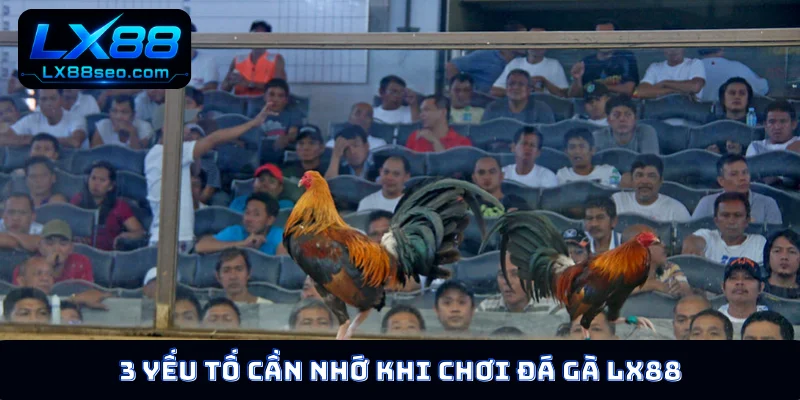3 yếu tố cần nhớ khi chơi đá gà LX88